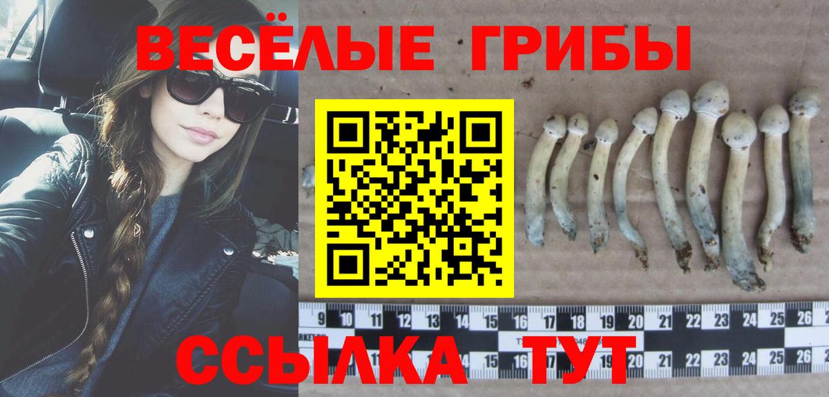 Галлюциногенные грибы GOLDEN TEACHER  Галлюциногенные грибы Psilocybine cubensis  Людиново  Вход с VPN 