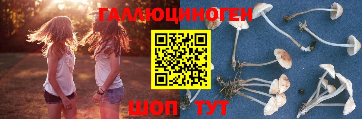 Галлюциногенные грибы прущие грибы Людиново